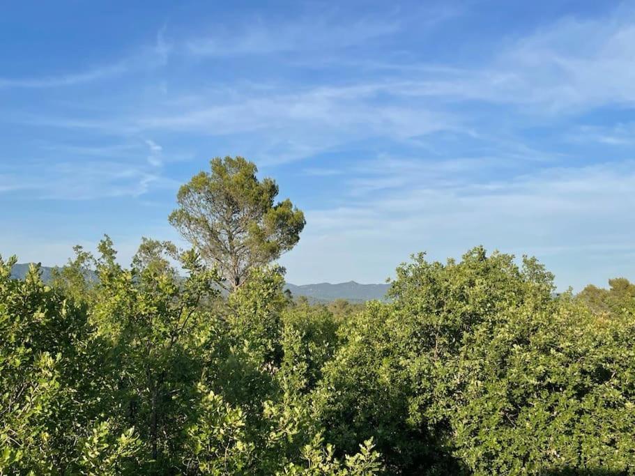 Villa Piscine - Gorges Du Verdon, Lac De Sainte-Croix Régusse Zewnętrze zdjęcie