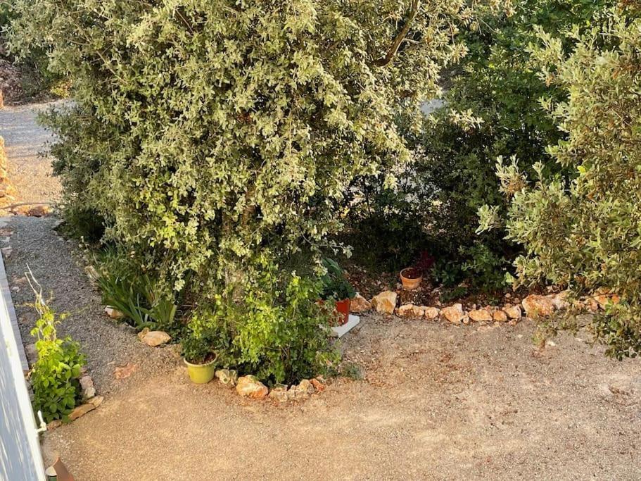 Villa Piscine - Gorges Du Verdon, Lac De Sainte-Croix Régusse Zewnętrze zdjęcie