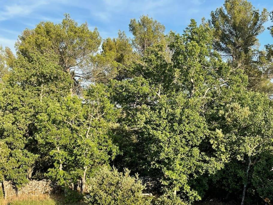 Villa Piscine - Gorges Du Verdon, Lac De Sainte-Croix Régusse Zewnętrze zdjęcie